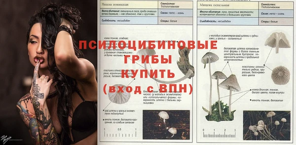 твердый Абинск