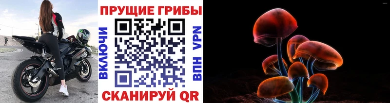 нарко площадка как зайти  Бавлы  Галлюциногенные грибы MAGIC MUSHROOMS 